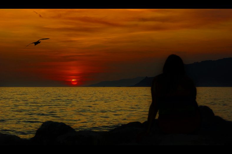 One day I'll fly away