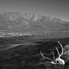 Death by the river