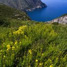 View from the cliff