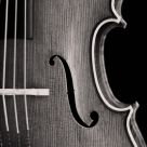 Yo Yo Ma Does it Best