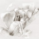 Fading Beauty