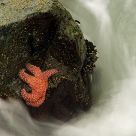 Holding On For Life