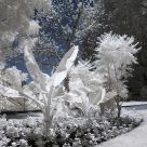 Mainau Island