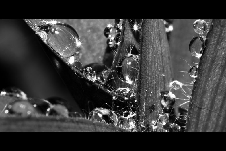 Water diamonds