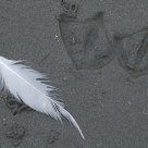 writings in the sand