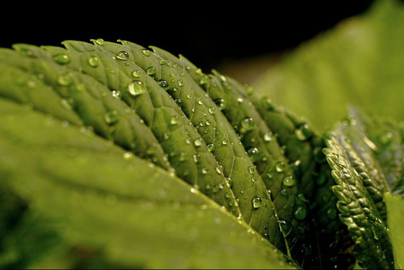 just raindrops