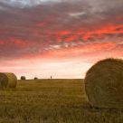 Prairie Sunrise