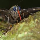 Feeding