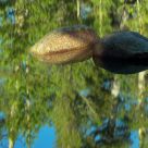 Light And Dark Rock Reflection