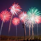 Coconut Tree Fireworks