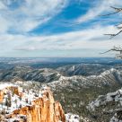 Fresh Snow