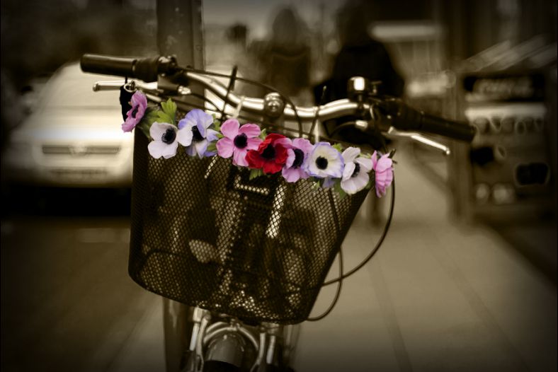 Flower Power!