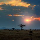 Sunset at Serengeti