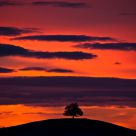 Sky of fire