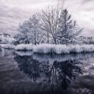 Lake Alice