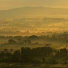 Morning mist
