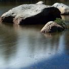 Reflections In A Waterpool