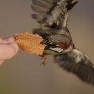 The bread is mine