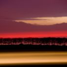 Psychedelic Line of Trees