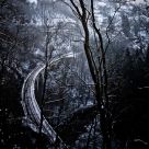Express to the Land of Dreams