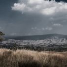 RoadSide