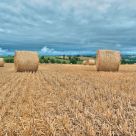 Reaping in Tarn - Moisson en Tarn