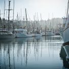 Boats in the Morning
