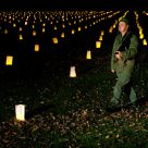 Veteran's Day