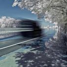 Forward Motion