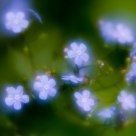 Blue light