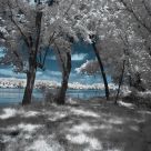 Down By The River