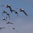 Oncoming air traffic