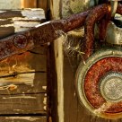 A Rusty Lock, Spider Web & Some Dandelion Fluff