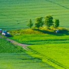 Island in a field