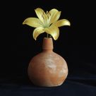 Flower and pot