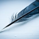Quill