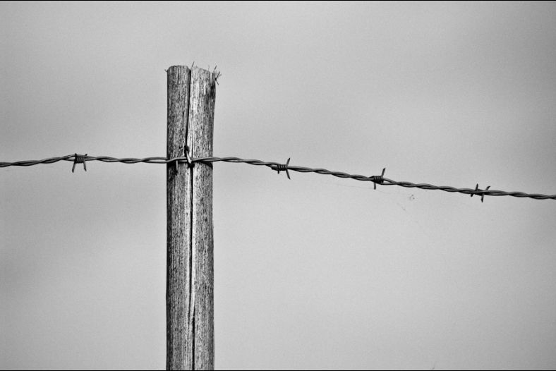 Freedom - LibertÃ©