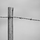 Freedom - LibertÃ©