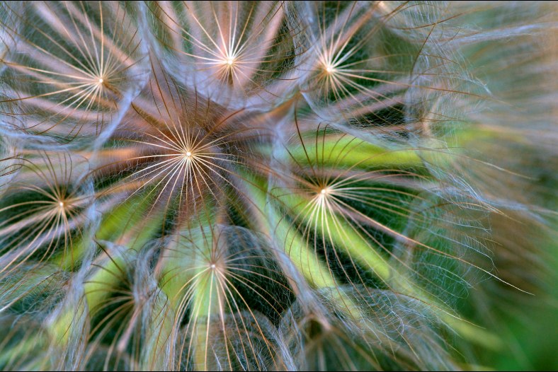Well, that's just fine and dandi!