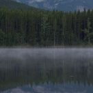 Morning Mist