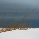 Winter Scene