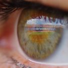 Eye In
