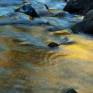 Stream of Gold