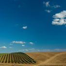 Tuscany #4