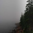 Misty Bass Harbor