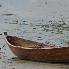 Beached