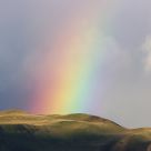 A Ray Of Color