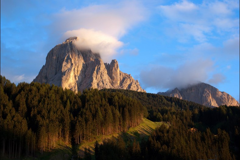 Evening Light
