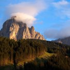 Evening Light