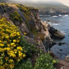 Big Sur